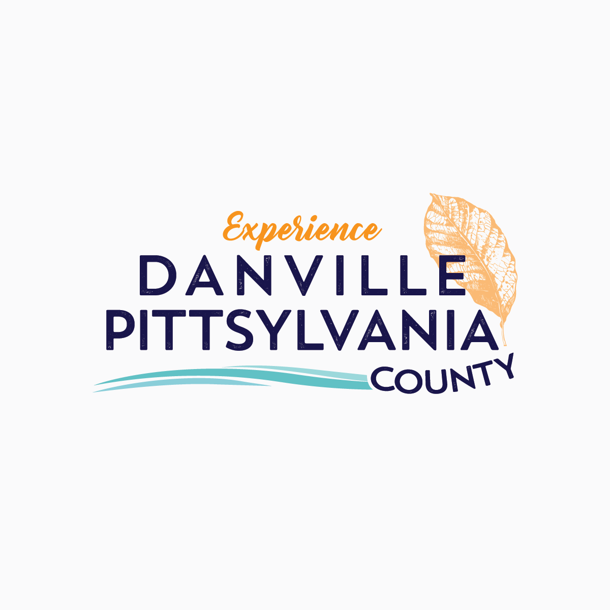 Danville Pittsylvania County.png